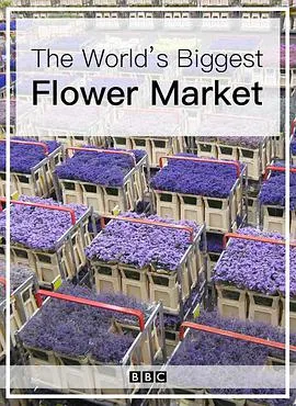 世界上最大的鲜花市场