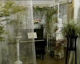 寒星1992