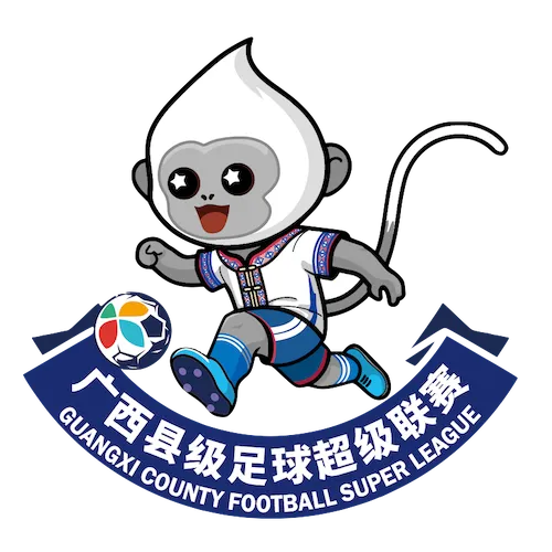 广西县级足球超级联赛 南宁市宾阳县2.2南宁市江南区20260124