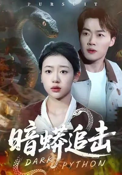 暗蟒追击