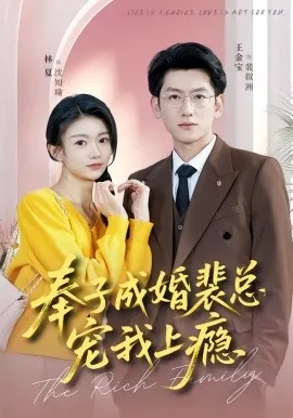 奉子成婚裴总宠我上瘾
