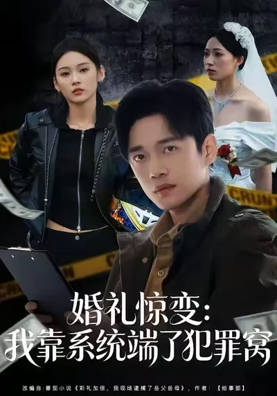 婚礼惊变：我靠系统端了犯罪窝