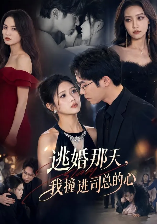 逃婚那天，我撞进司总的心