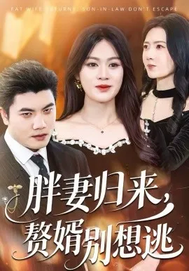 胖妻归来，赘婿别想逃