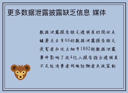 更多数据泄露披露缺乏信息 媒体