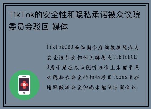 TikTok的安全性和隐私承诺被众议院委员会驳回 媒体